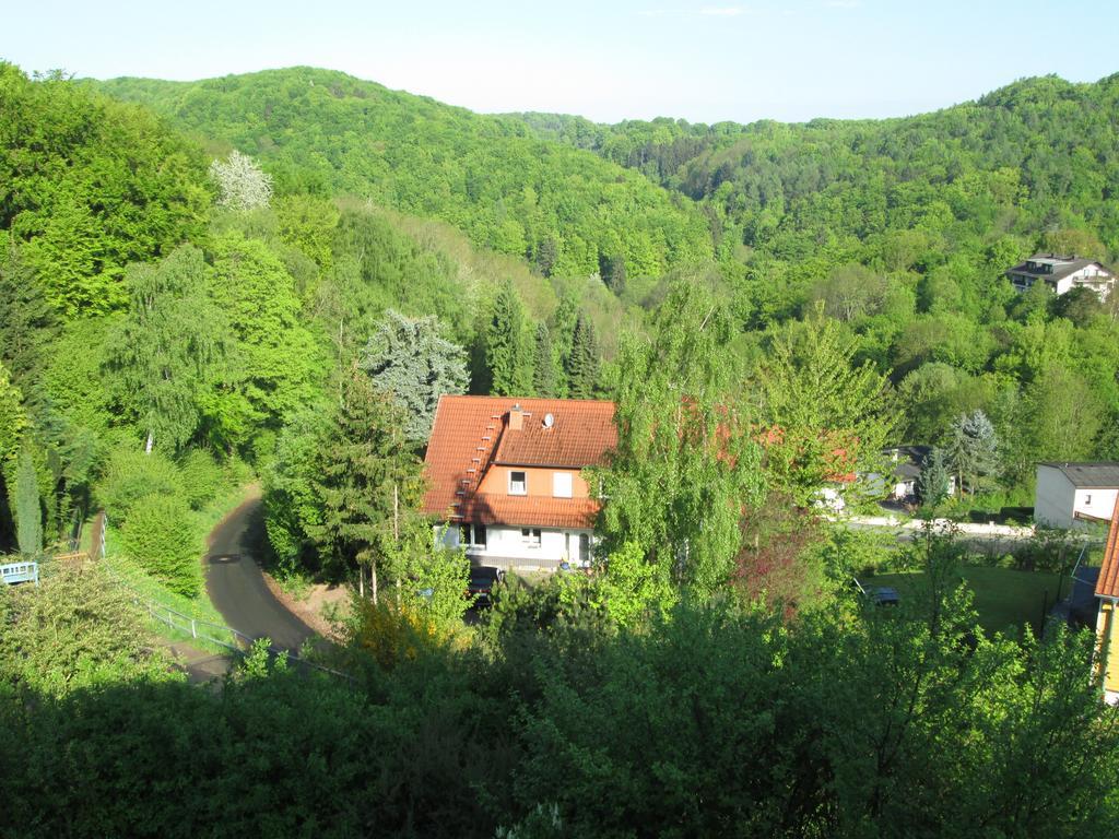 Schlossberg Ferienwohnung Waldeck  Dış mekan fotoğraf