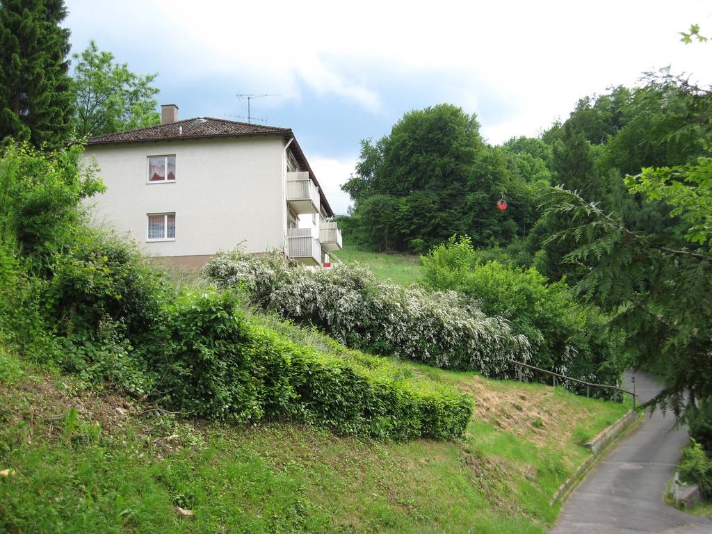 Schlossberg Ferienwohnung Waldeck  Dış mekan fotoğraf