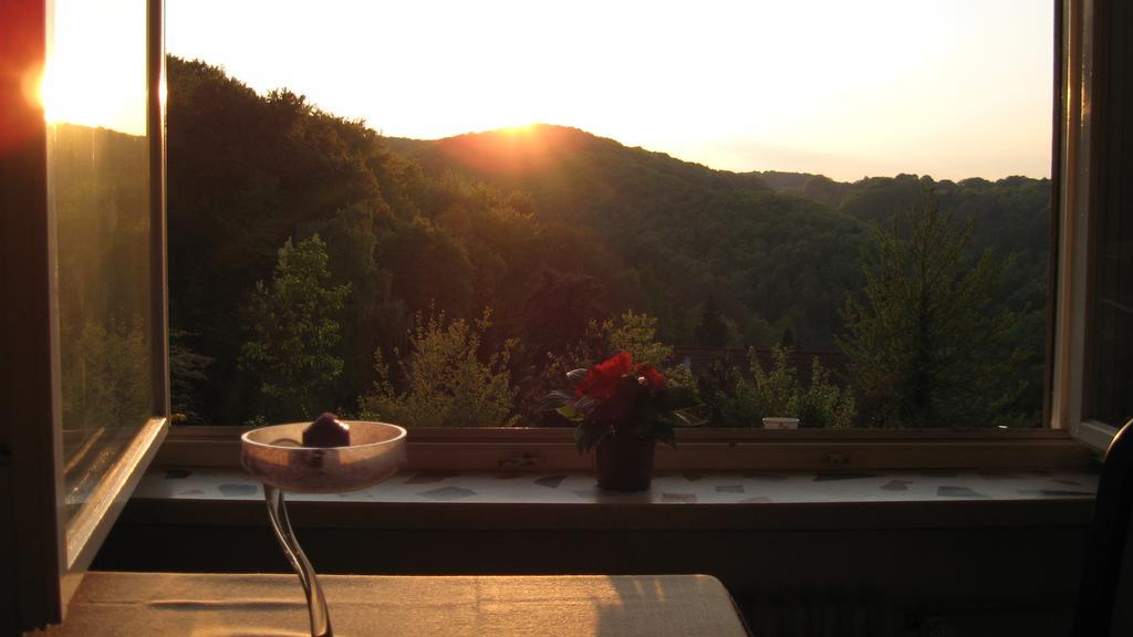 Schlossberg Ferienwohnung Waldeck  Oda fotoğraf